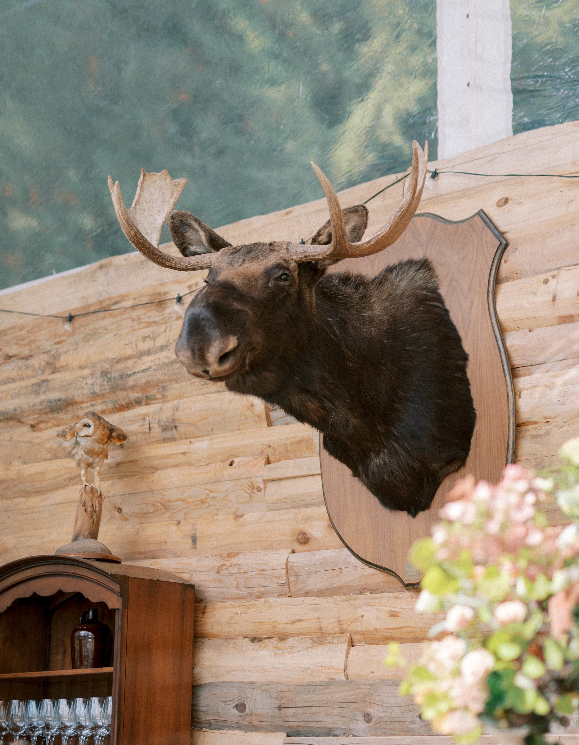 Authentic mounted moose head featured in a rustic mountain lodge wedding with wood walls, florals, and elevated Canadian-inspired event décor.